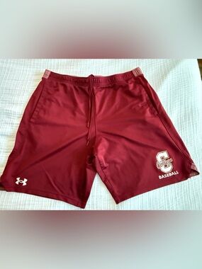 Under Armour College of Charleston Maroon Baseball Performance Shorts